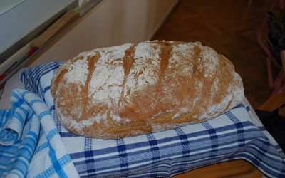 NARAVOSLOVNI DAN – Peka kruha in še kaj